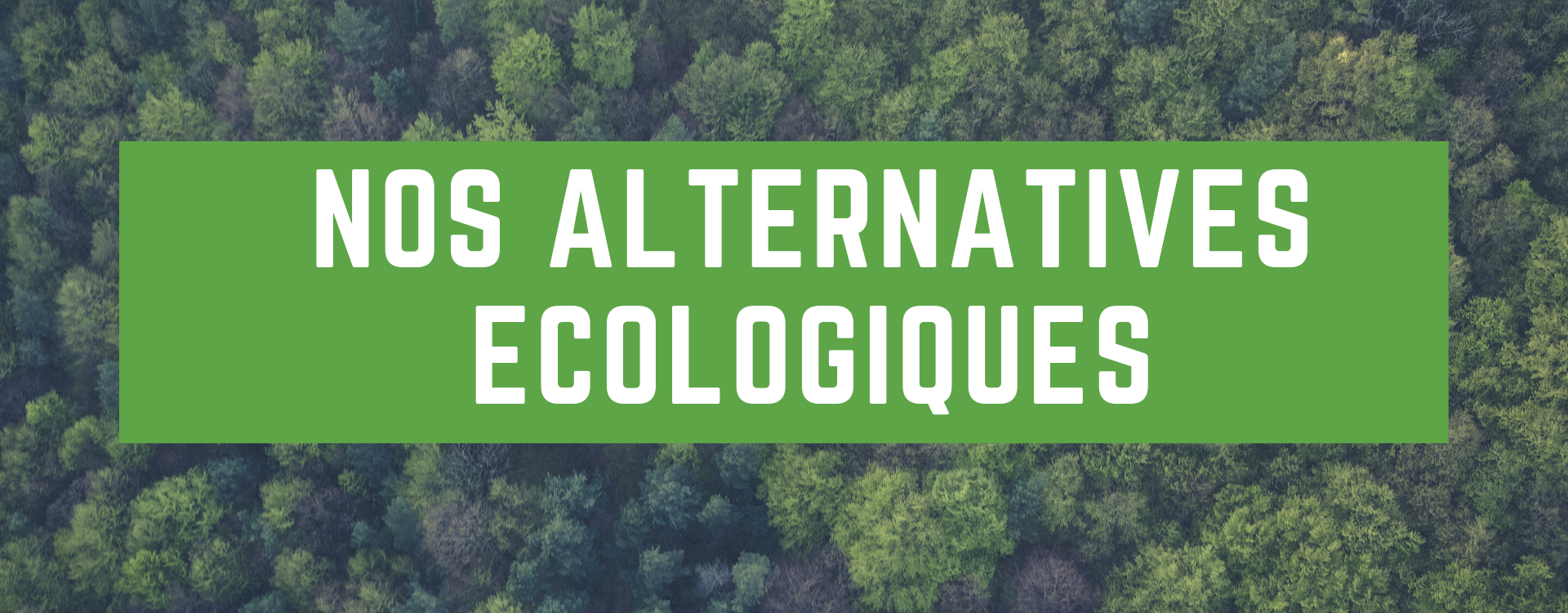 Énergie: quelles sont les alternatives écologiques ?