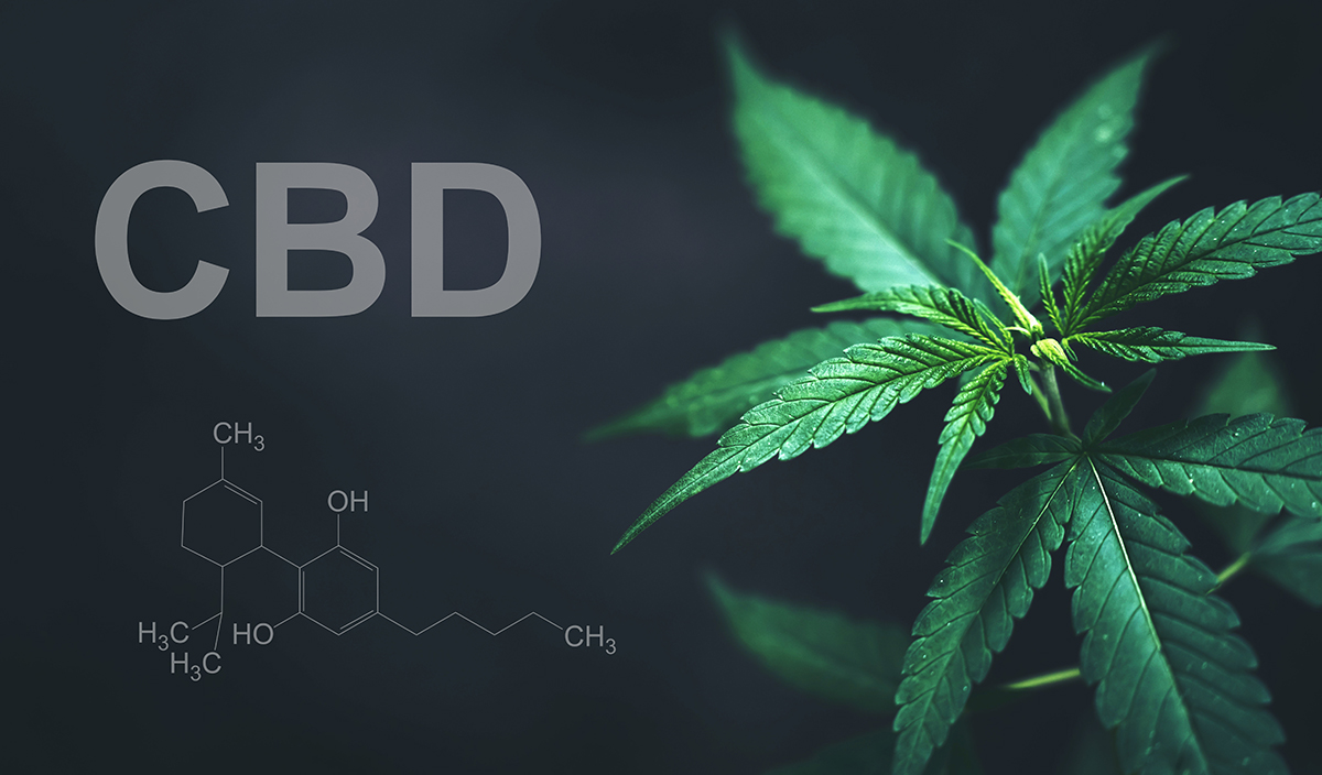 CBD: Que dit la loi ?