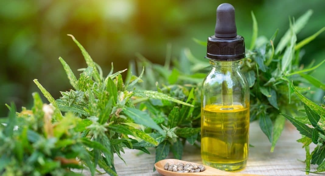 Comment choisir la meilleure huile de CBD pour ses besoins ?