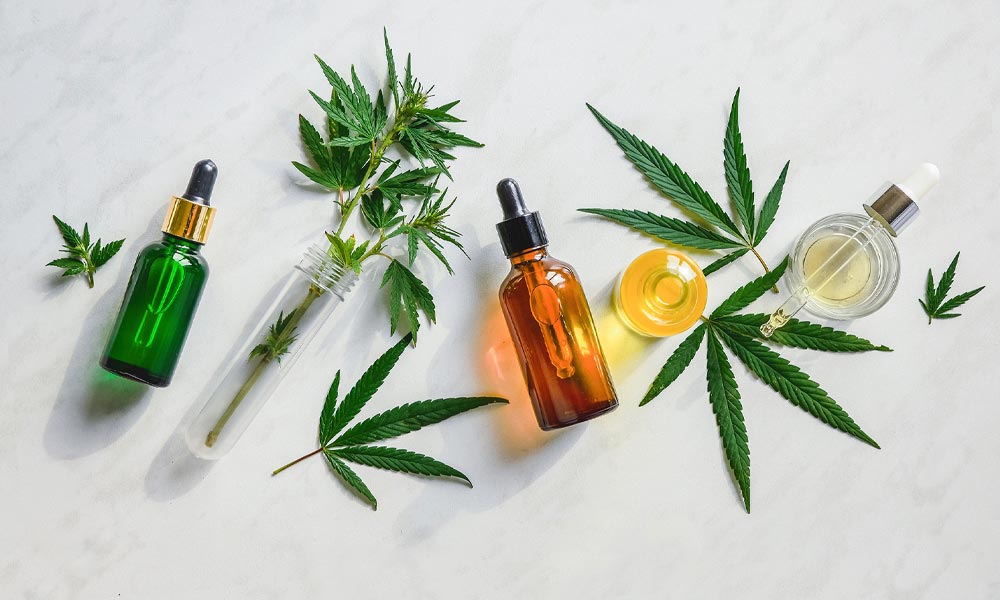 Chanvre, CBD, CBN, ou CBG : quel cannabinoïde choisir pour améliorer votre bien-être ?