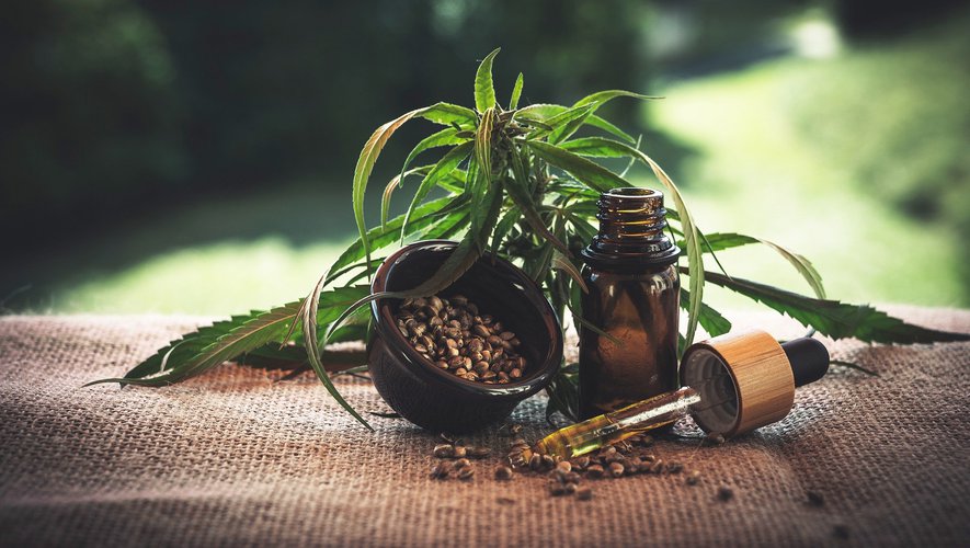 Quels sont les effets du CBD sur le cancer ?